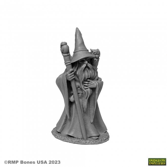 Dungeon Dwellers 07077 Anuminar Winterbeard, Wizard | Grognard Games