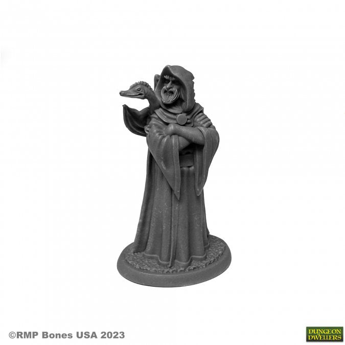 Dungeon Dwellers 07079 Zenfis Zadar, Wizard | Grognard Games