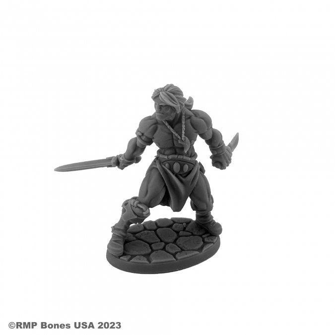 Bones 07116 Hyborian Hero | Grognard Games