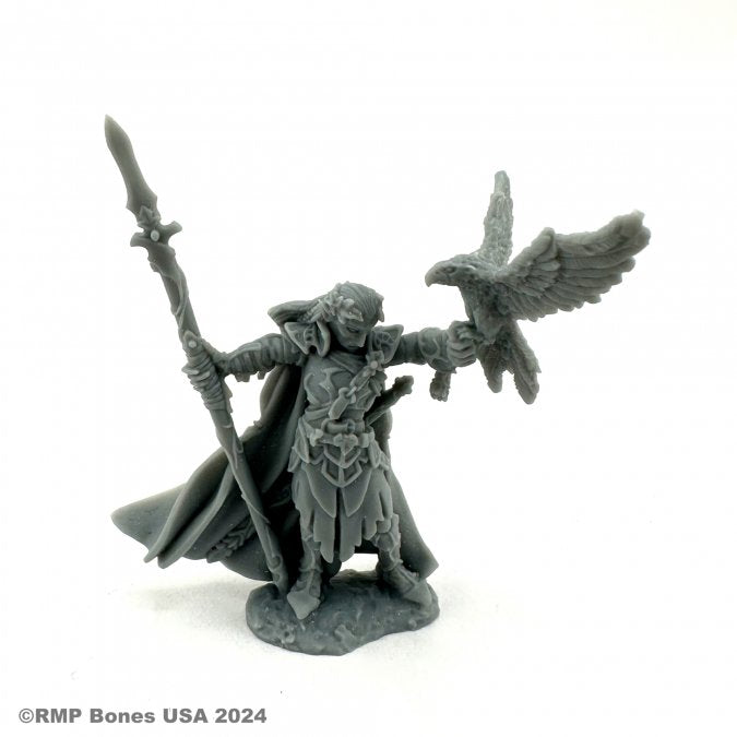 Bones 07120 WOOD ELF KING | Grognard Games