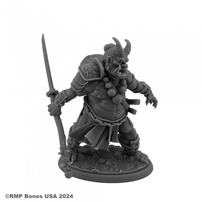 Dungeon Dwellers 07143 Ogre Magi | Grognard Games