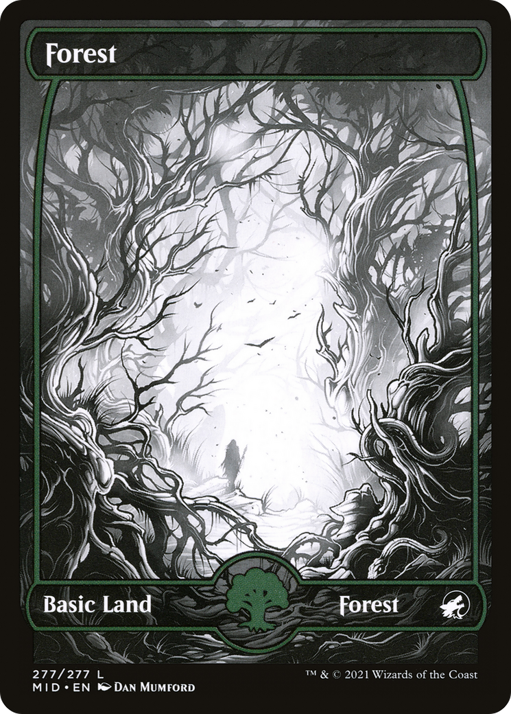Forest (277) [Innistrad: Midnight Hunt] | Grognard Games