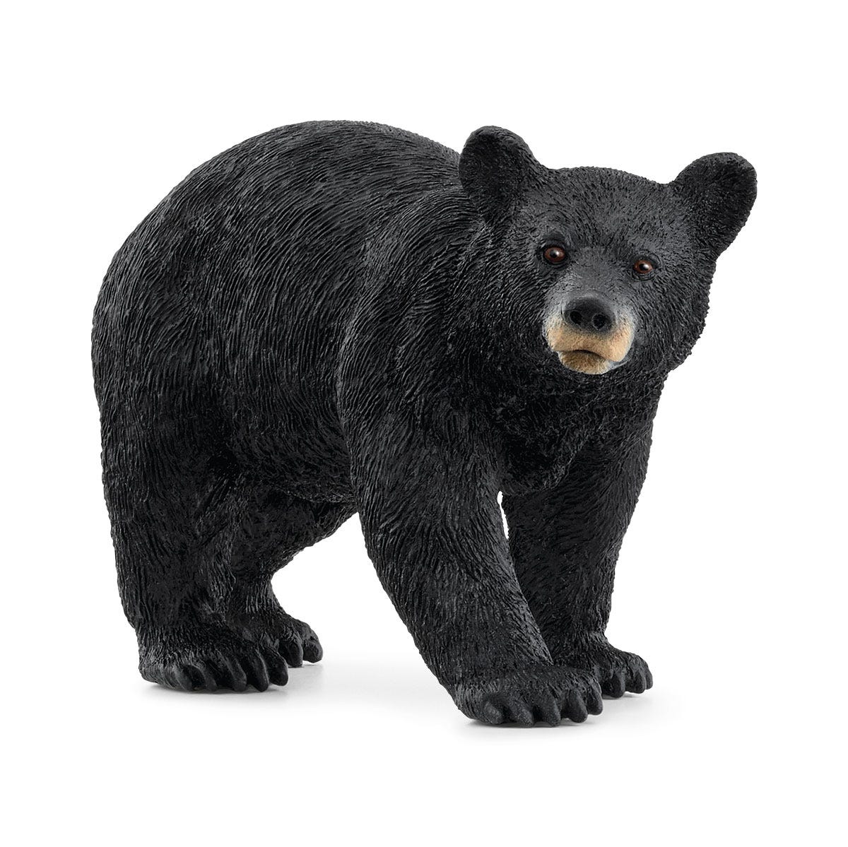 American Black Bear | Grognard Games