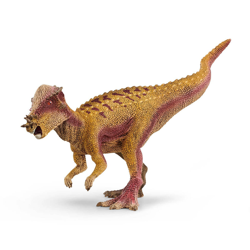 Pachycephalosaurus | Grognard Games