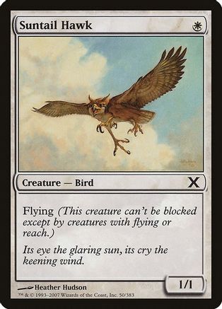 Suntail Hawk (10E-050) - 10th Edition Foil | Grognard Games
