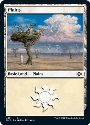 Plains (481) (Foil Etched) (MH2-481) - Modern Horizons 2 Foil | Grognard Games