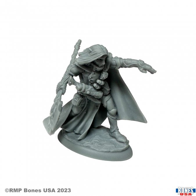 Bones 30158 ELQUIN THE DARING | Grognard Games