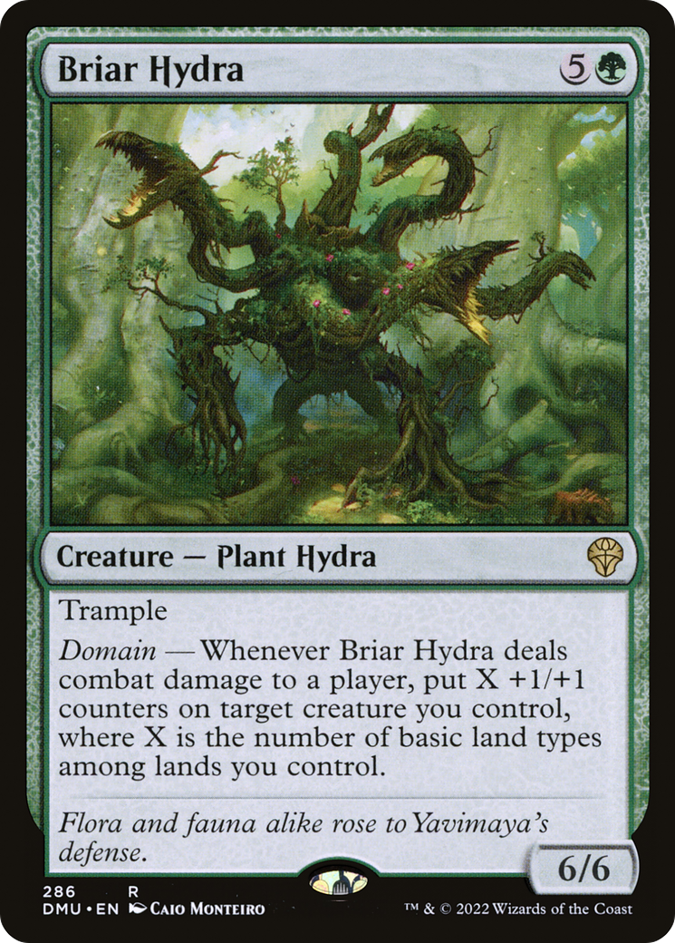 Briar Hydra [Dominaria United] | Grognard Games