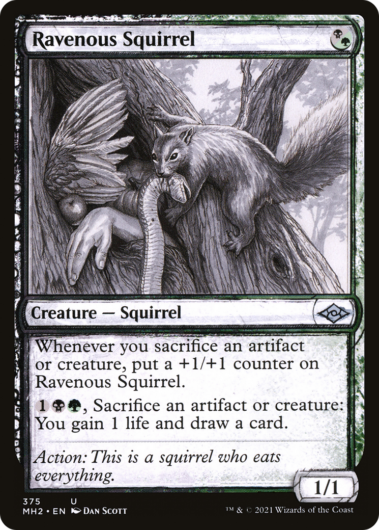 Ravenous Squirrel (Sketch) [Modern Horizons 2] | Grognard Games