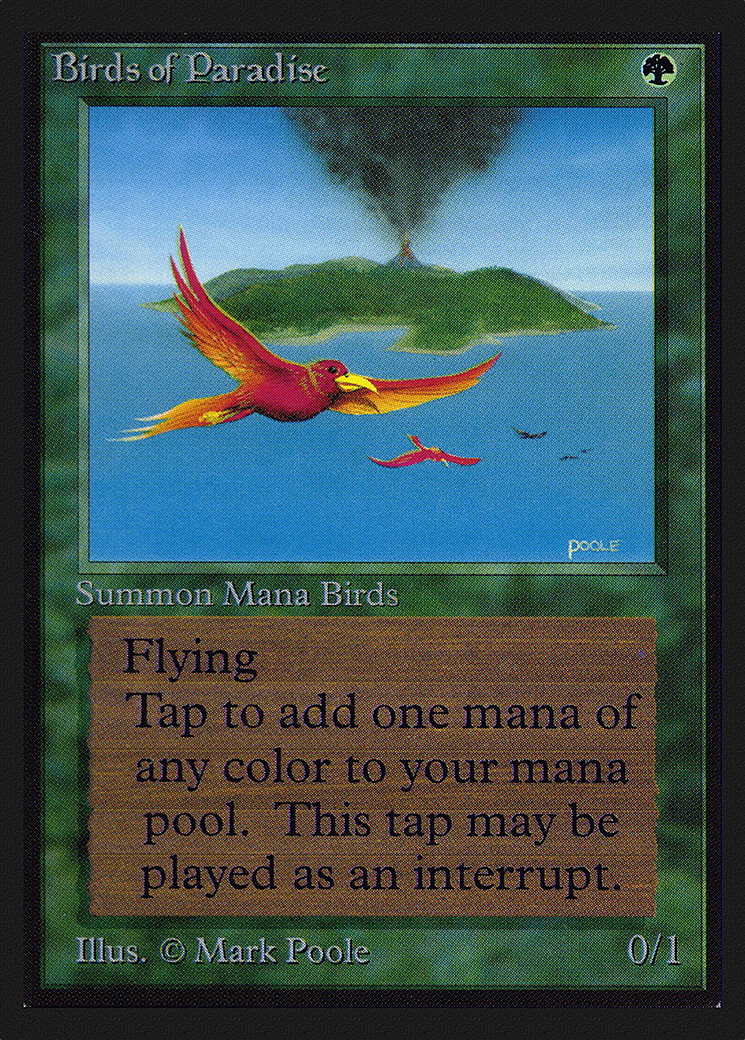 Birds of Paradise [Collectors’ Edition] | Grognard Games