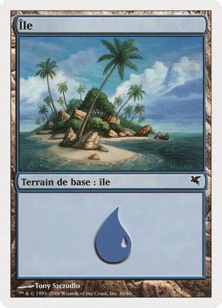 Island (French) - "Ile" (H36) (PSAL-H36) - Magic Encyclopedia 2005 (Salvat/Hachette) | Grognard Games