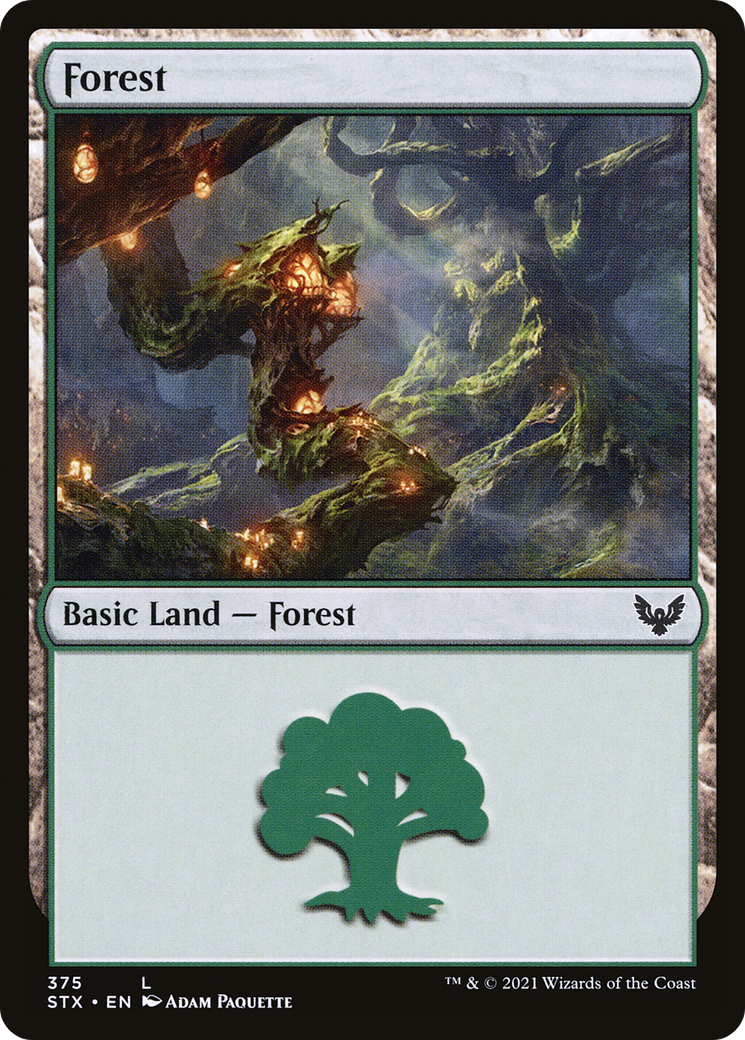 Forest (375) [Strixhaven: School of Mages] | Grognard Games