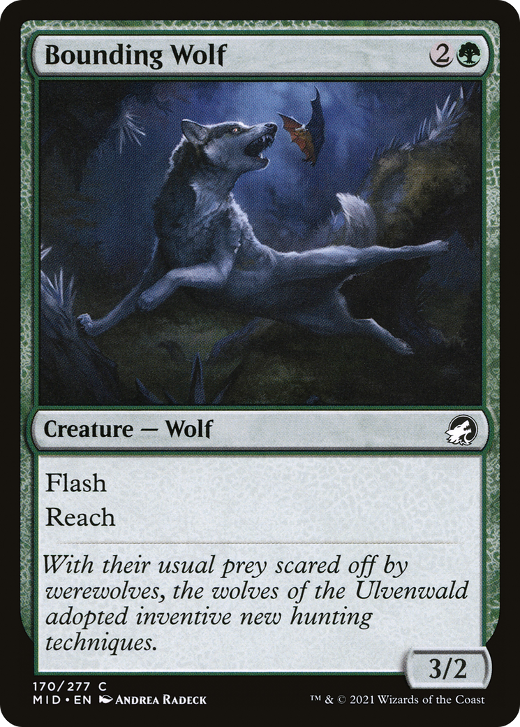 Bounding Wolf [Innistrad: Midnight Hunt] | Grognard Games