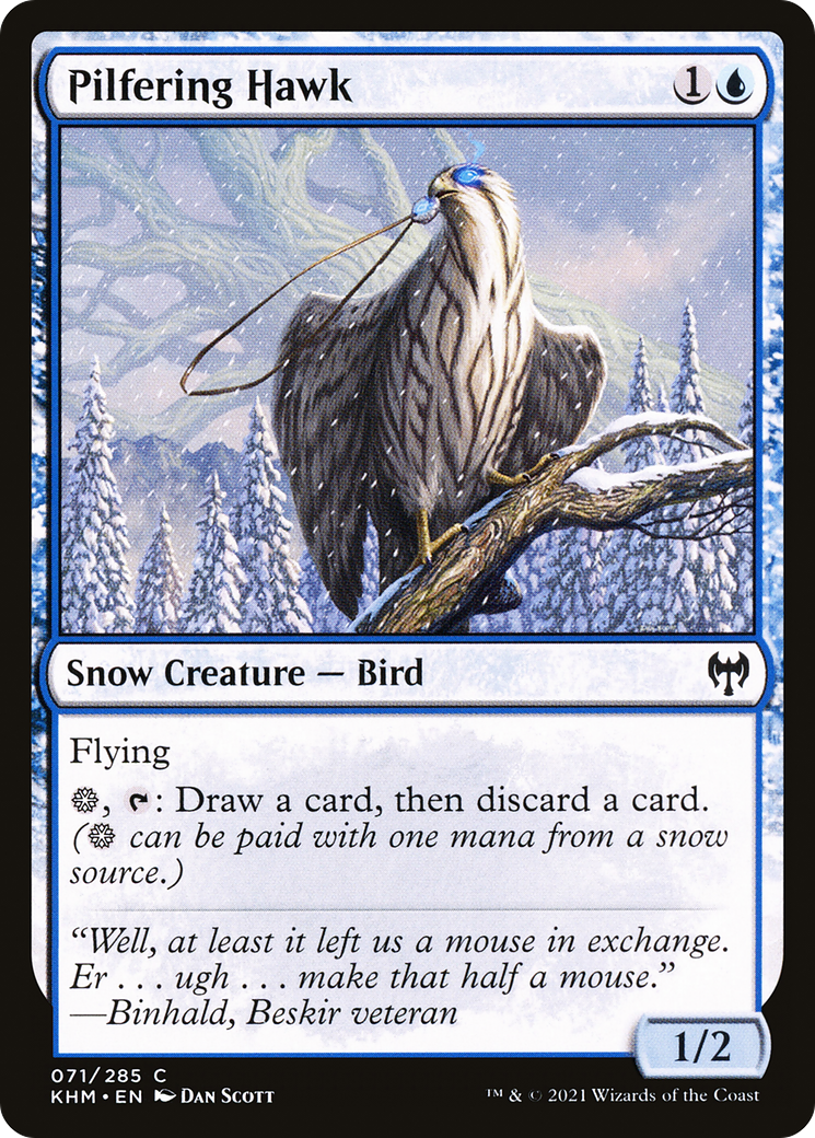Pilfering Hawk [Kaldheim] | Grognard Games