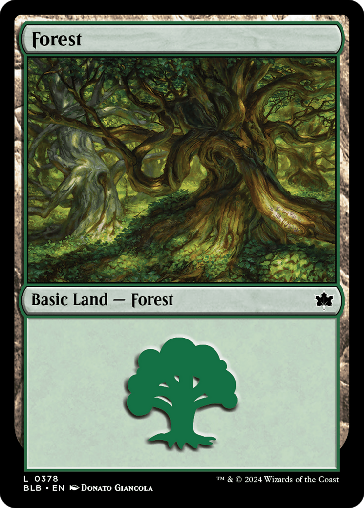 Forest (0378) [Bloomburrow] | Grognard Games