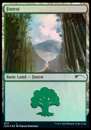 Forest (Walls) (577) [Secret Lair Drop Promos] | Grognard Games