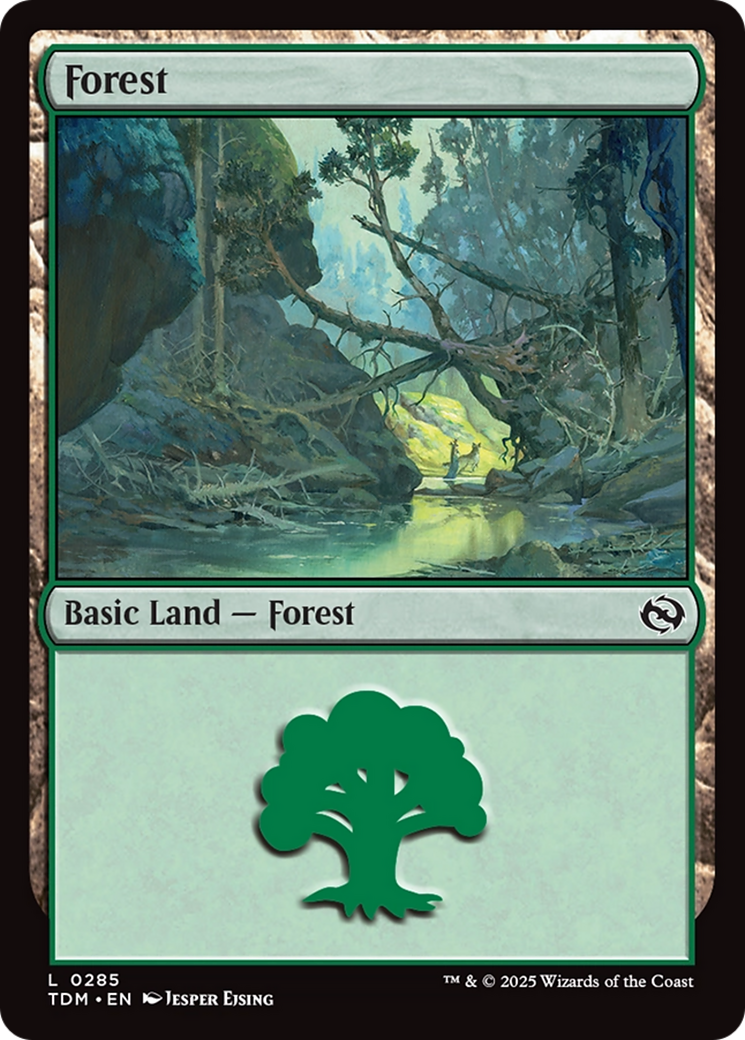 Forest (0285) [Tarkir: Dragonstorm] | Grognard Games