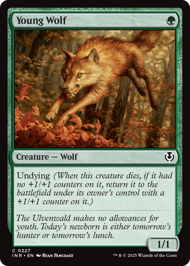 Young Wolf [Innistrad Remastered] | Grognard Games