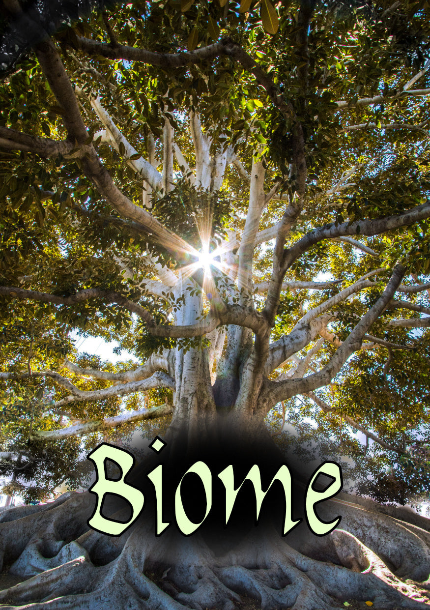 Biome | Grognard Games