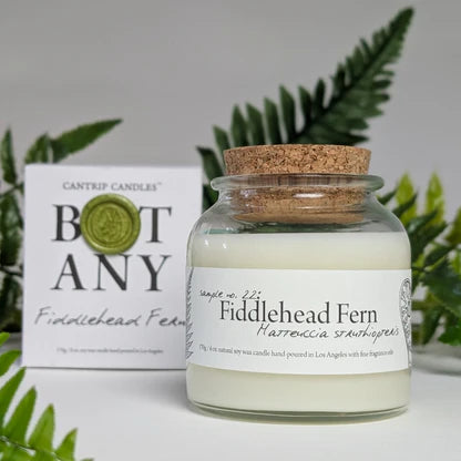 Botany- Fiddlehead Fern (6oz) Cantrip Candle | Grognard Games