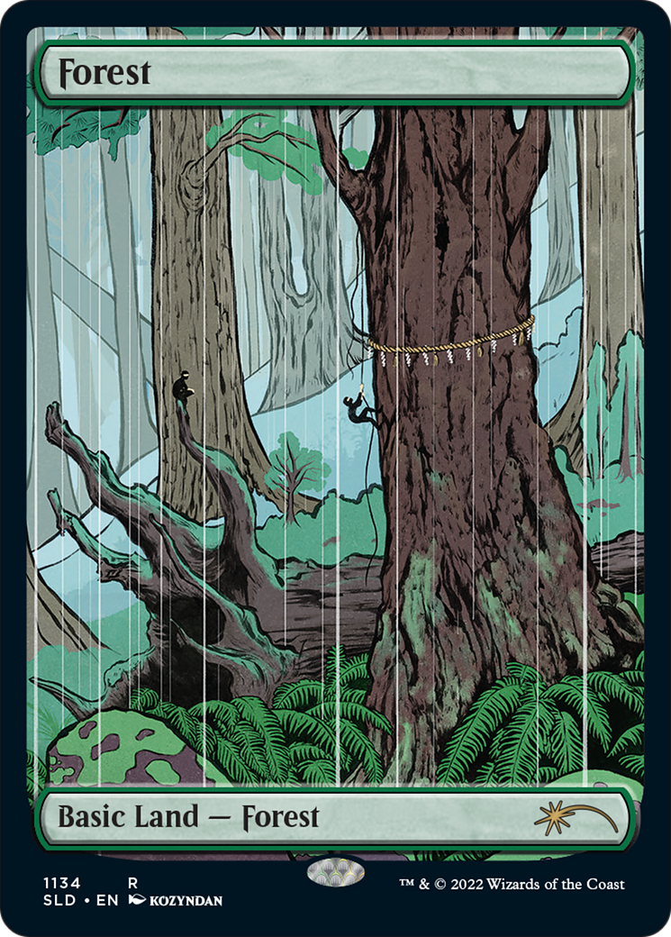 Forest (1134) (Full-Art) [Secret Lair Drop Series] | Grognard Games