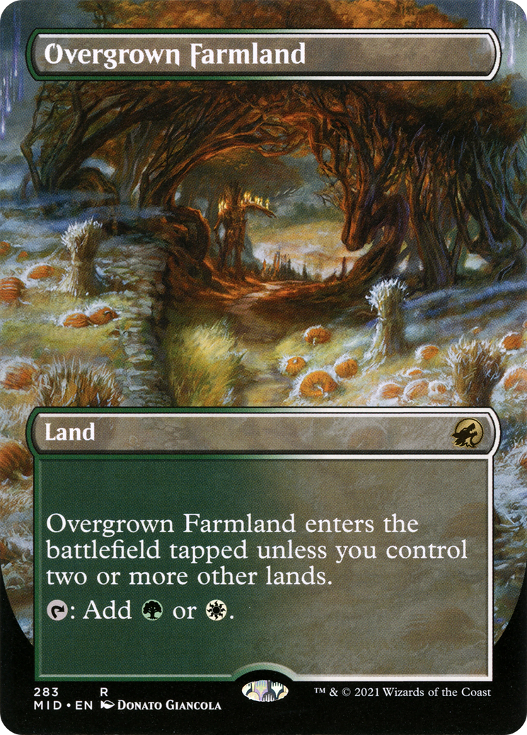 Overgrown Farmland (Borderless) [Innistrad: Midnight Hunt] | Grognard Games
