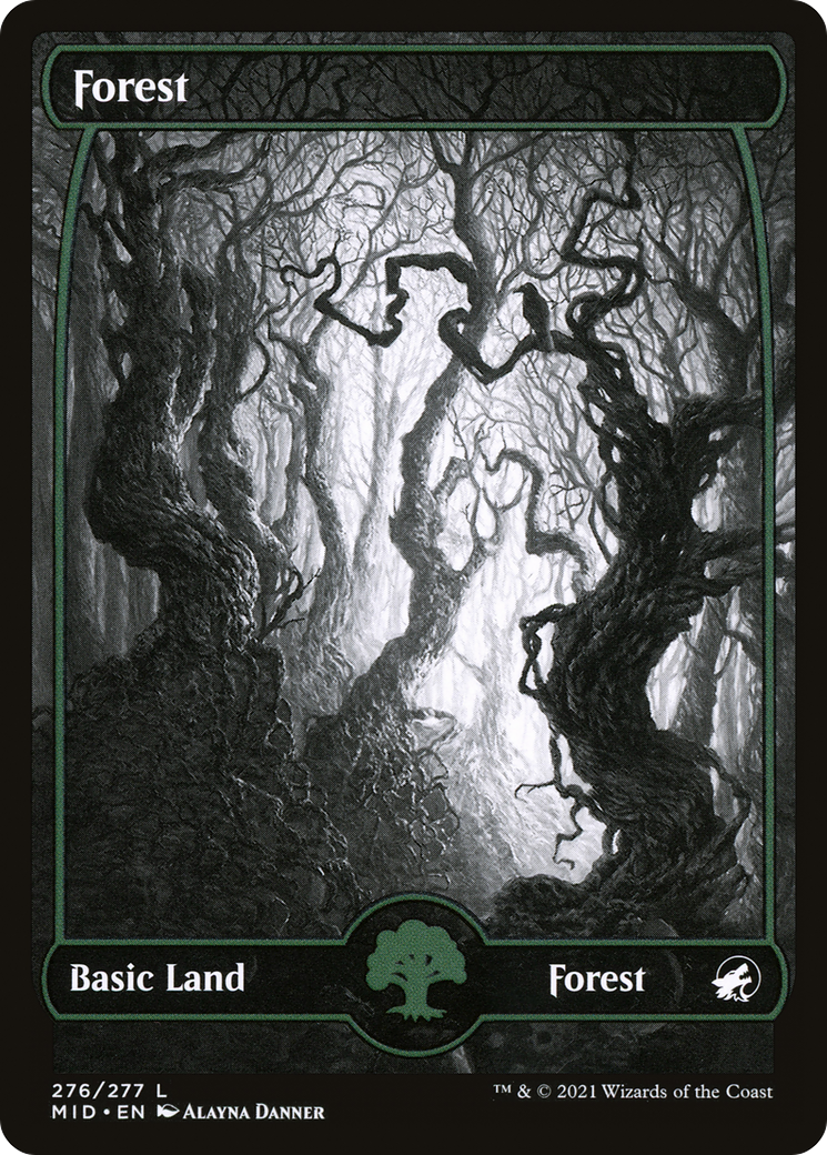 Forest (276) [Innistrad: Midnight Hunt] | Grognard Games