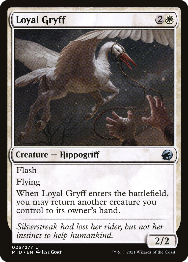 Loyal Gryff [Innistrad: Midnight Hunt] | Grognard Games