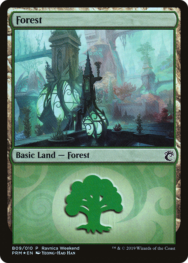 Forest (B09) [Ravnica Allegiance Guild Kit] | Grognard Games
