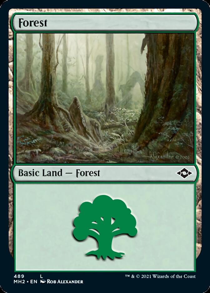 Forest (489) (Foil Etched) [Modern Horizons 2] | Grognard Games