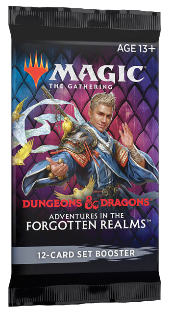 Dungeons & Dragons: Adventures in the Forgotten Realms - Set Booster Pack | Grognard Games