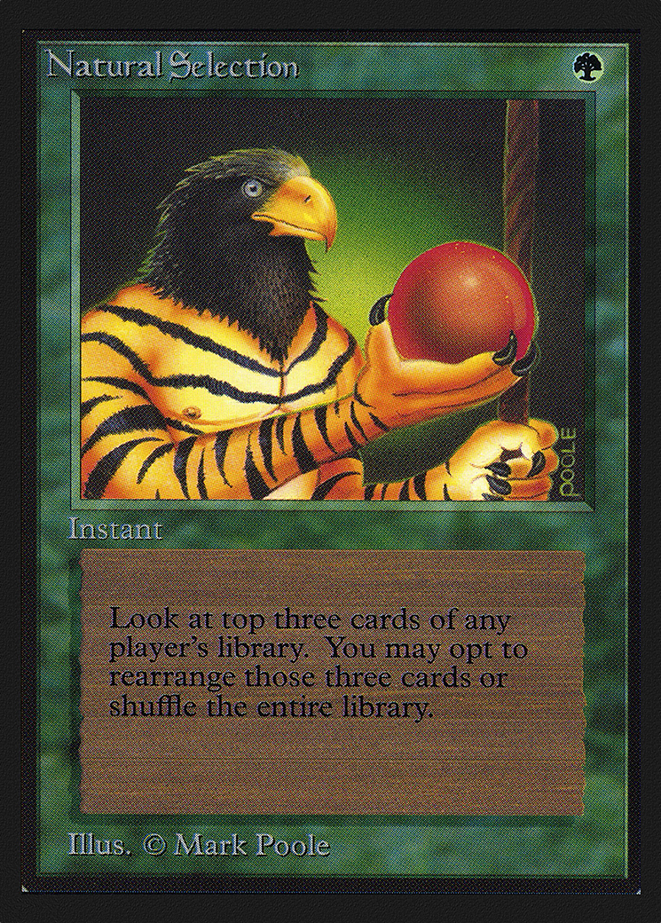 Natural Selection [Collectors’ Edition] | Grognard Games