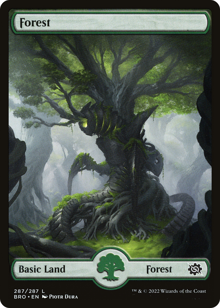 Forest (287) [The Brothers' War] | Grognard Games
