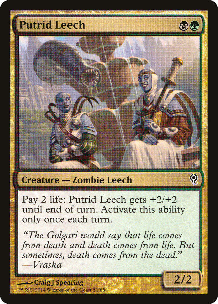 Putrid Leech [Duel Decks: Jace vs. Vraska] | Grognard Games