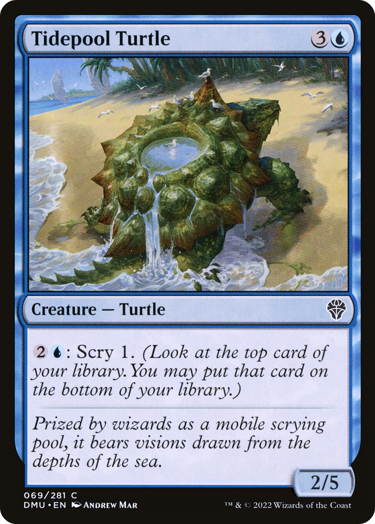 Tidepool Turtle [Dominaria United] | Grognard Games