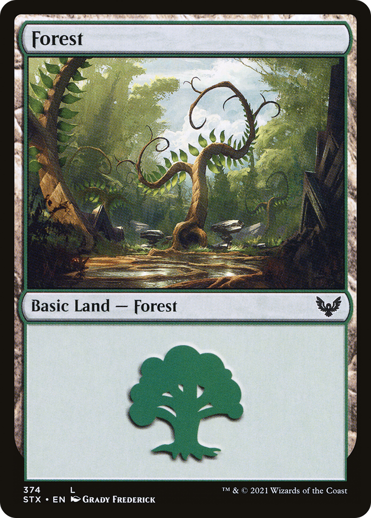 Forest (374) [Strixhaven: School of Mages] | Grognard Games