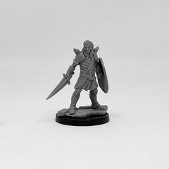 Next Level Miniatures - Player Character Set: Aasimar Paladin & Dragonborn Cleric | Grognard Games