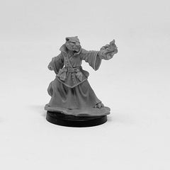 Next Level Miniatures - Player Character Set: Catfolk Huntress & Sorcerer | Grognard Games