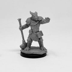 Next Level Miniatures - Player Character Set: Aasimar Paladin & Dragonborn Cleric | Grognard Games