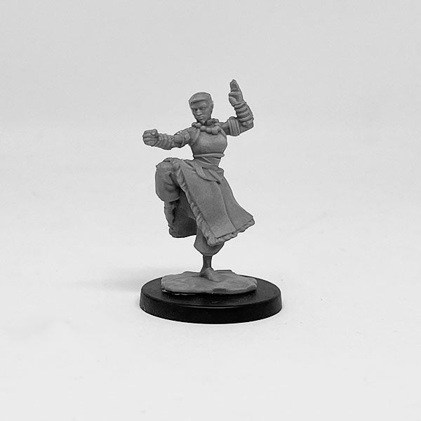 Next Level Miniatures - Player Character Set: Human Cleric & Monk | Grognard Games