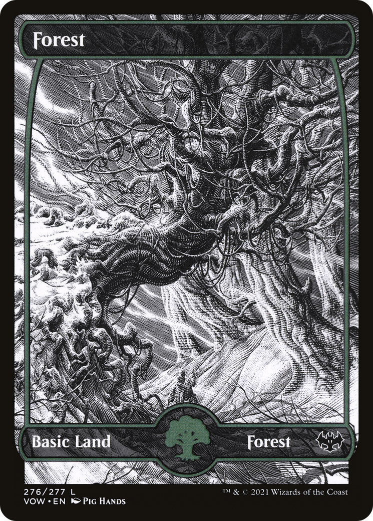 Forest (276) [Innistrad: Crimson Vow] | Grognard Games