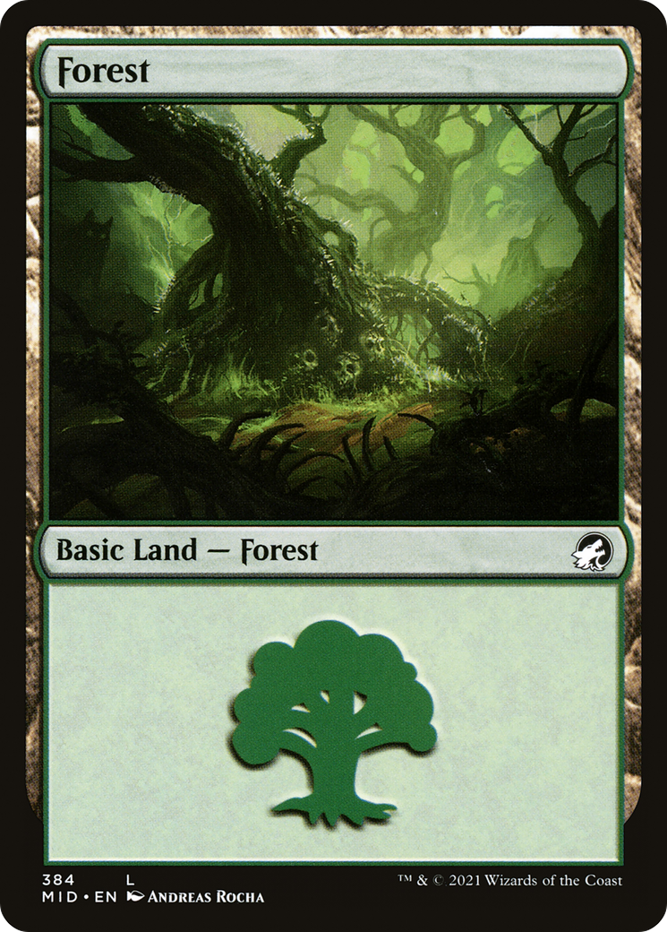 Forest (384) [Innistrad: Midnight Hunt] | Grognard Games