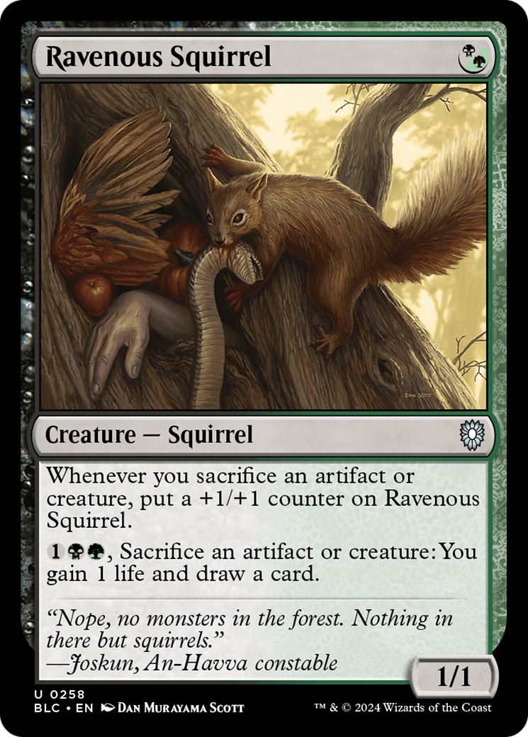 Ravenous Squirrel [Bloomburrow Commander] | Grognard Games