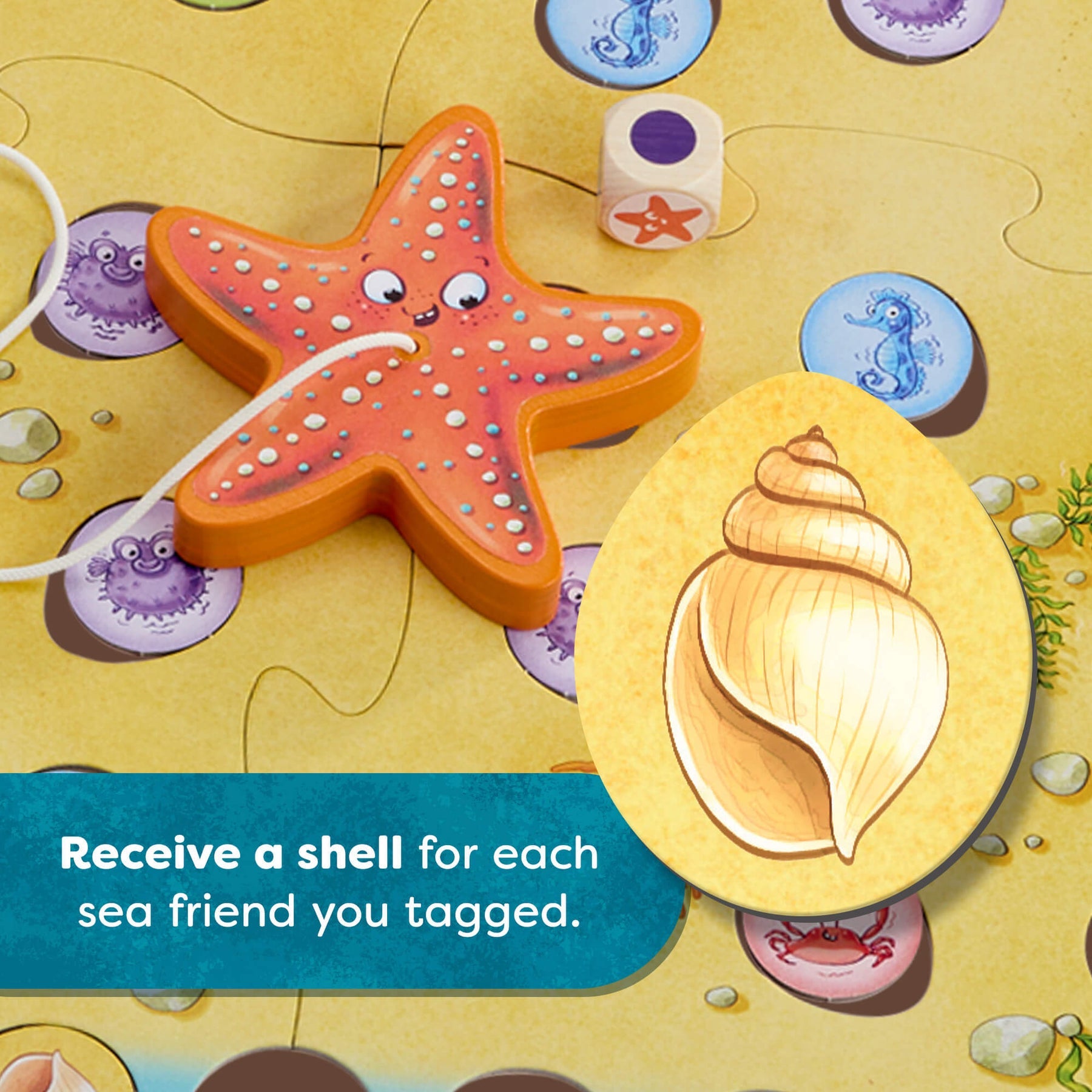 Sebastian Sea Star Fishing Game | Grognard Games