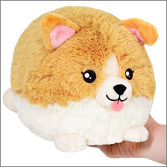 SQUISHABLE: Baby Corgi | Grognard Games