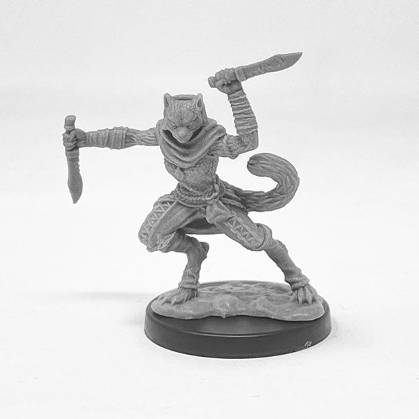Next Level Miniatures - Player Character Set: Catfolk Huntress & Sorcerer | Grognard Games
