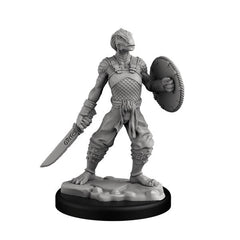Next Level Miniatures - Player Character Set: Dragonborn Fighter & Monk | Grognard Games