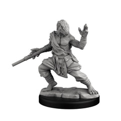 Next Level Miniatures - Player Character Set: Dragonborn Fighter & Monk | Grognard Games