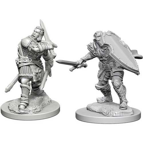 WizKids 726297 W3 Male Human Paladin | Grognard Games