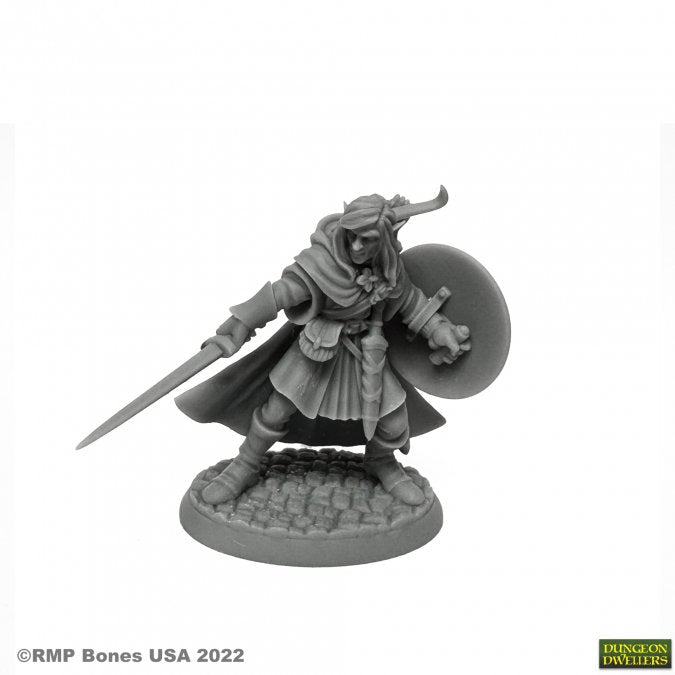 Bones 07026 Reaper Bones MELLONIR WINDRUNNER, ELF WARRIOR | Grognard Games